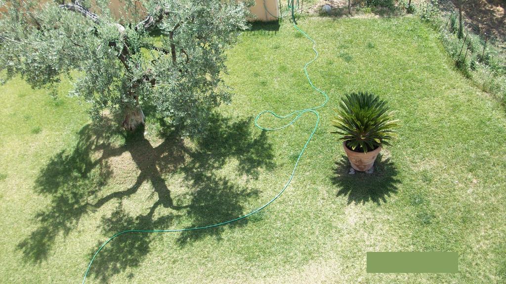 לינה וארוחת בוקר Canneto  Il Giardino Degli Ulivi מראה חיצוני תמונה